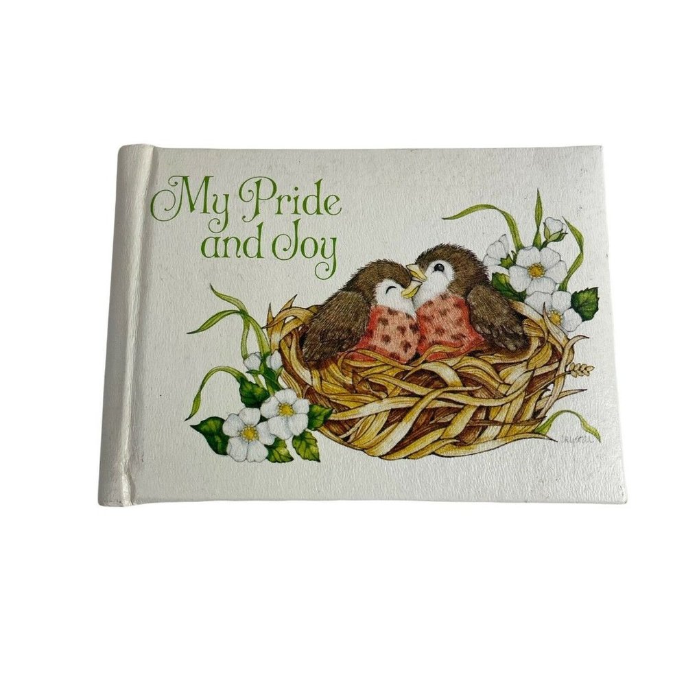 Vintage 1980s Photo Album My Pride and Joy Birds by Current 3x5